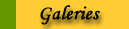 Galerie
